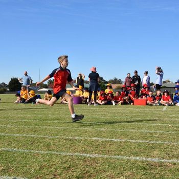 04 Fri Primary Athletics All Years Sprints 22