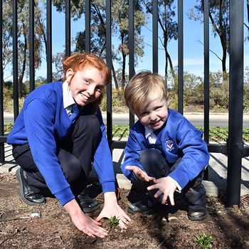 News Nat Tree Day 05