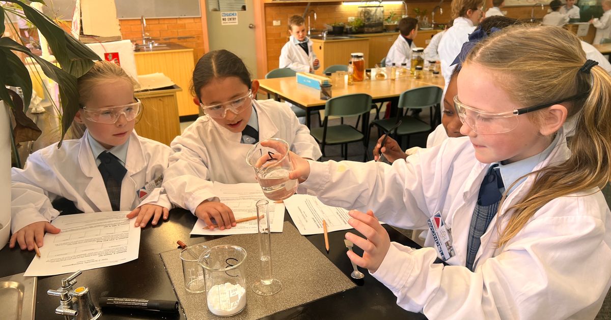 Year 2 Visit the Science Lab Avondale School