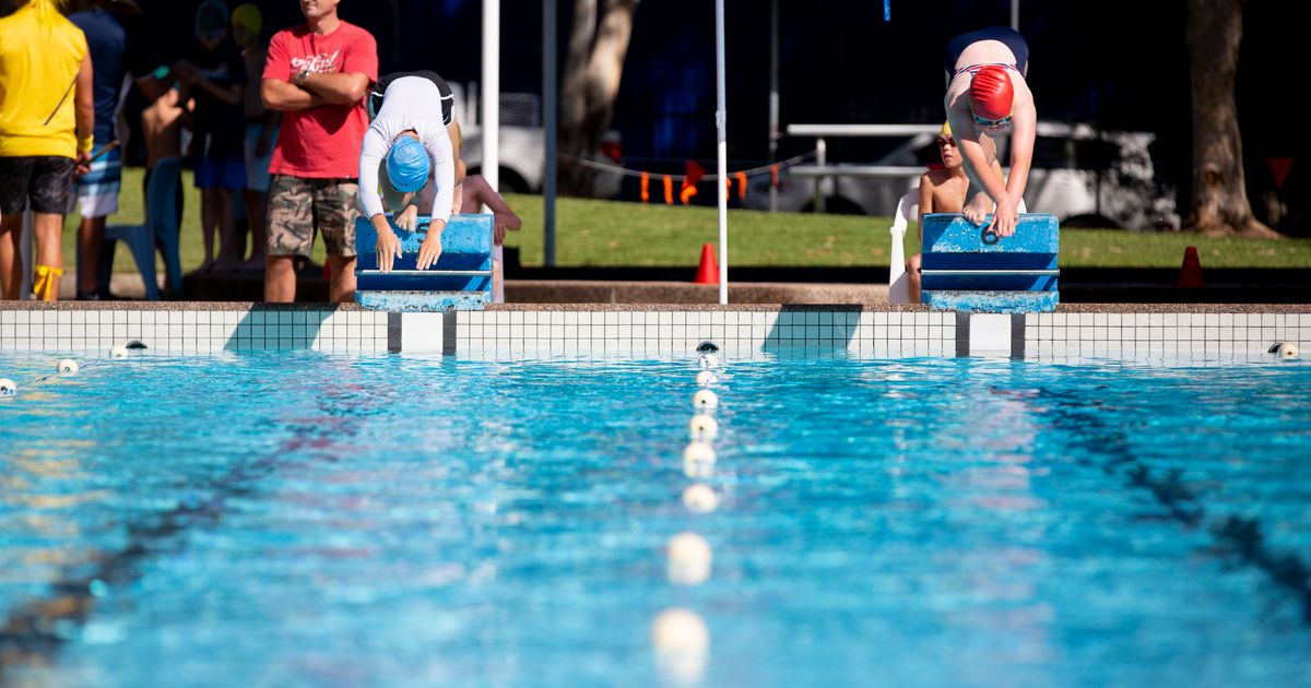 Primary Swimming Carnival Avondale School