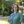 Rev Lisa Williamson, BDC School Chaplain profile photo