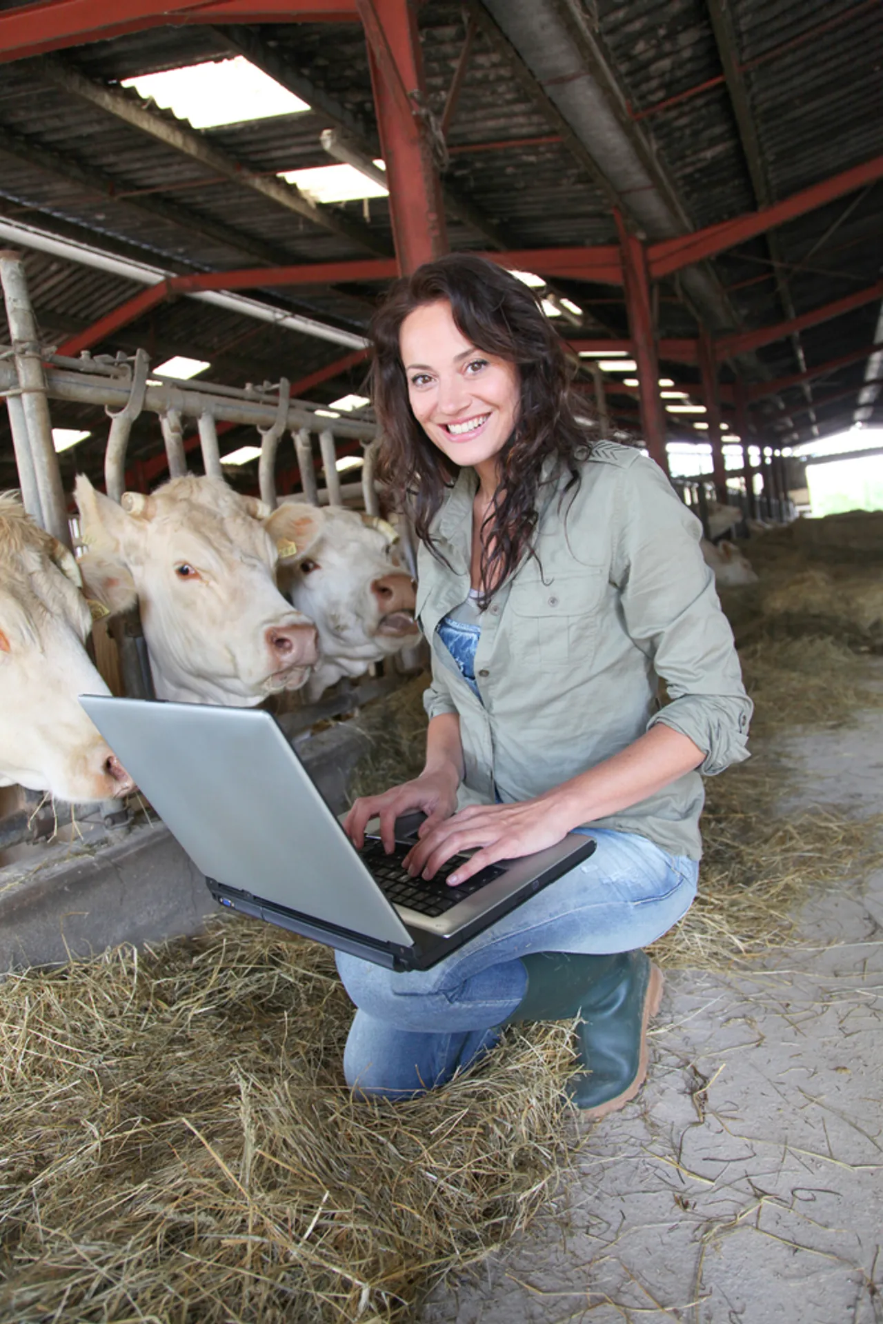 Regional NSW secondary student studying independently with online educational support.