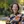 Ms Bronwyn Kelly profile photo
