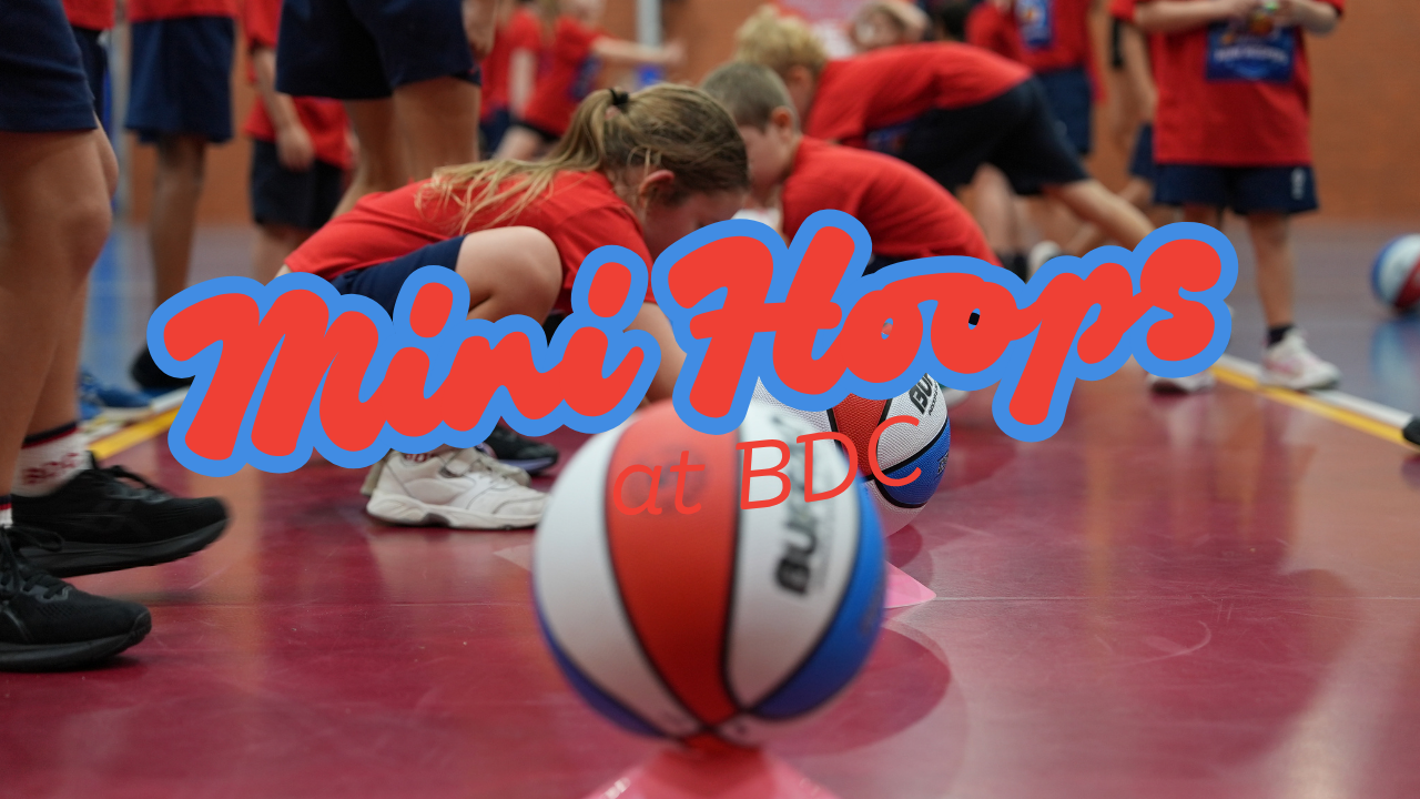 Mini Hoops Basketball Academy