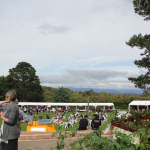 The Oval being set up for the 2010 fete