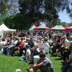 Crowds on the oval, enjoying the 2002 fete