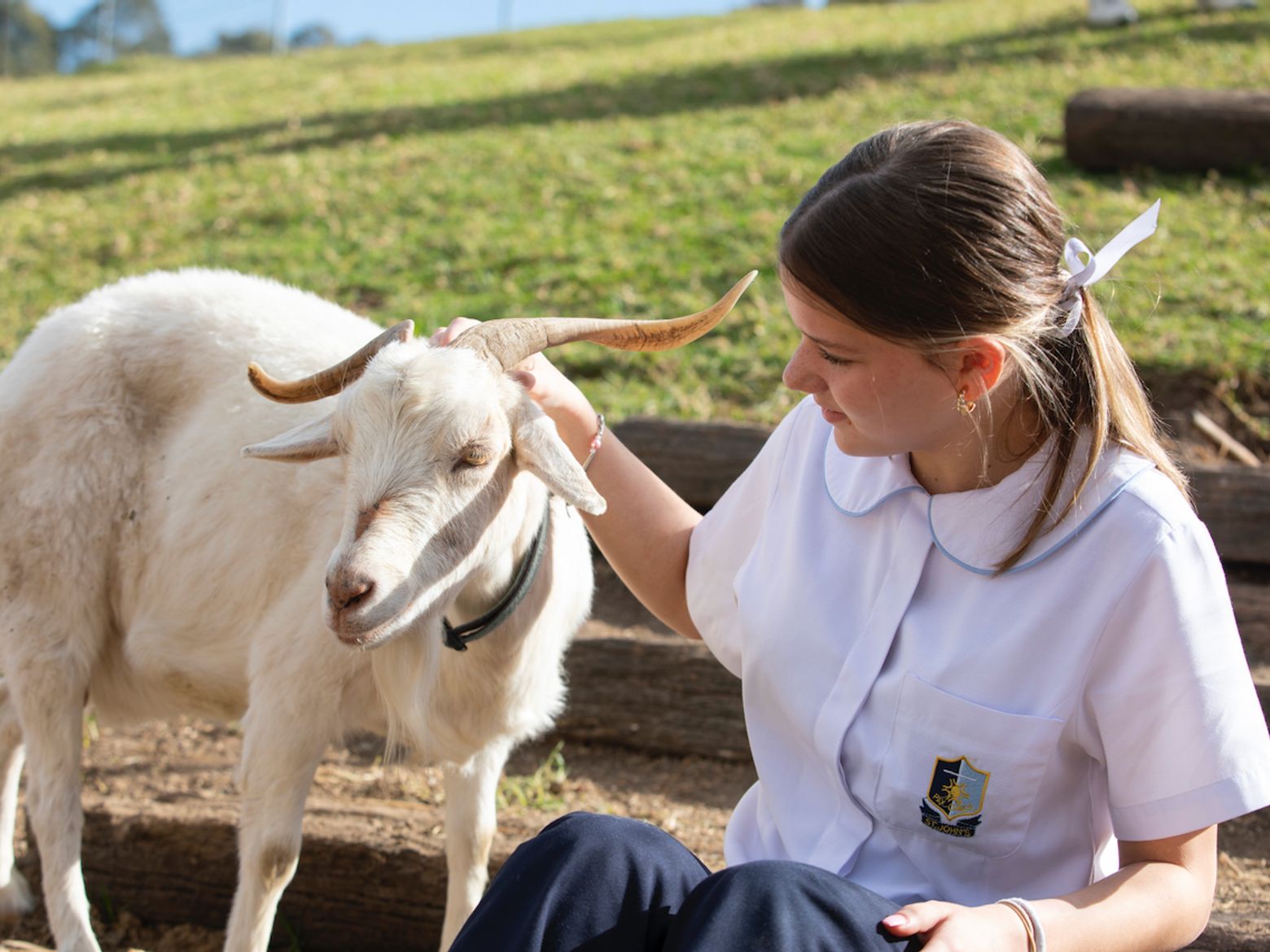 High school student sitting down and petting white goat.