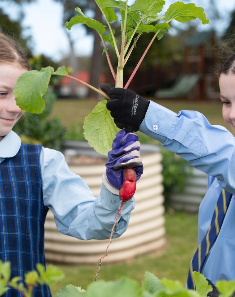 Primary school students holding up vegetable.