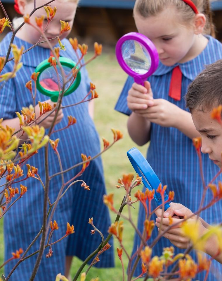 Primary school students in garden with magnifying glasses.