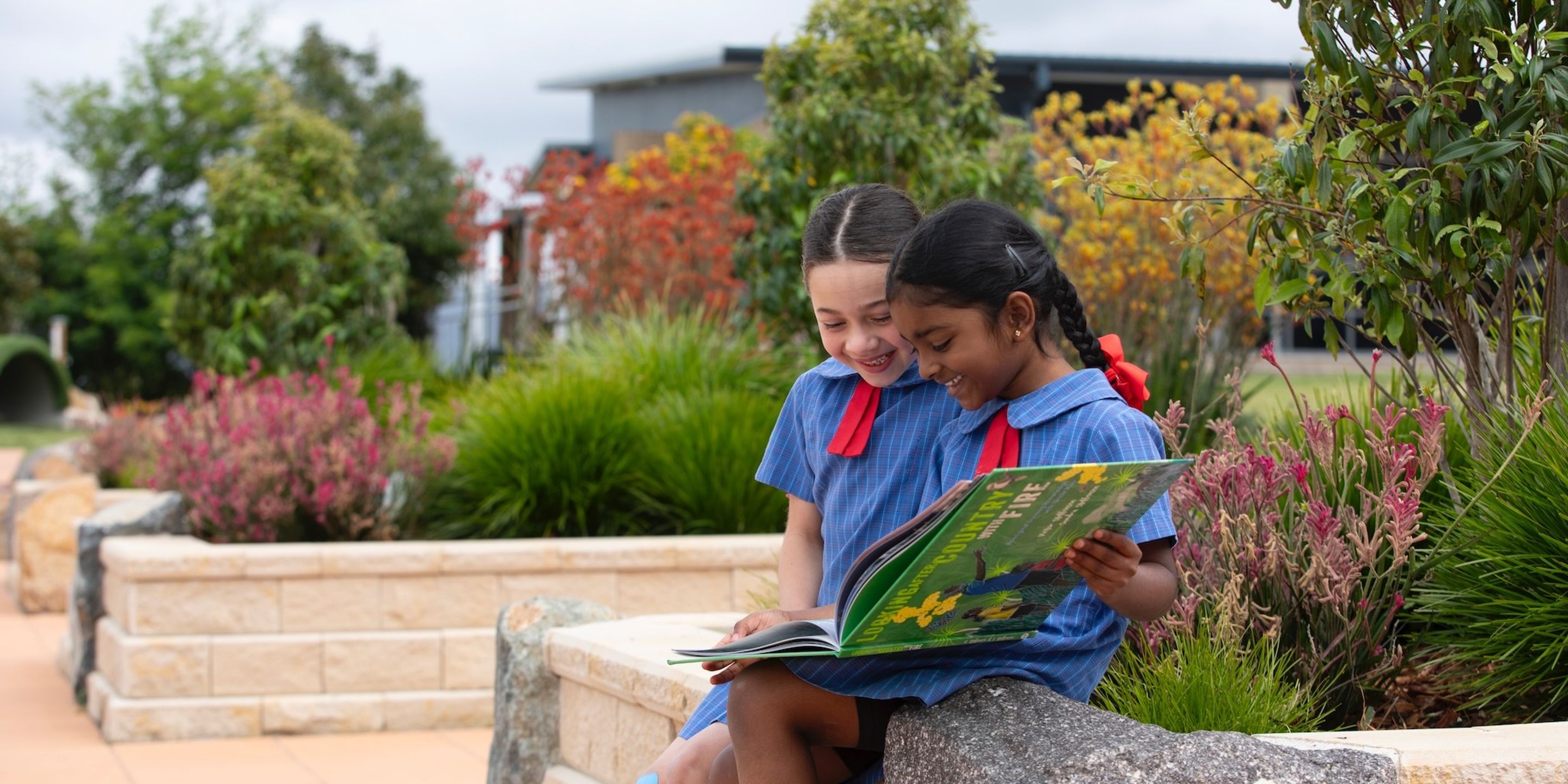 Primary school students reading book outdoors in garden.