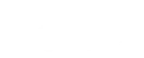 Centre for Higher Education Studies logo