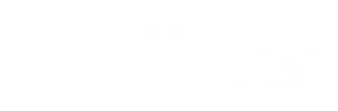Digistorm logo