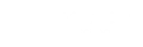 Digistorm logo