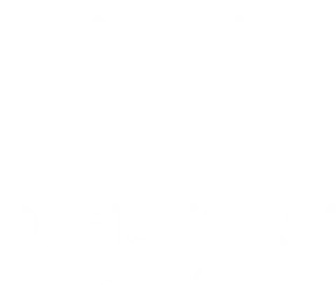 Digistorm logo