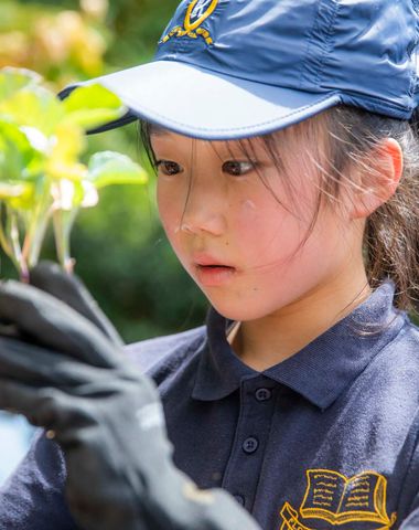 A Year 4 student looking at seedlings in the garden at South House, Ruyton Girls' School