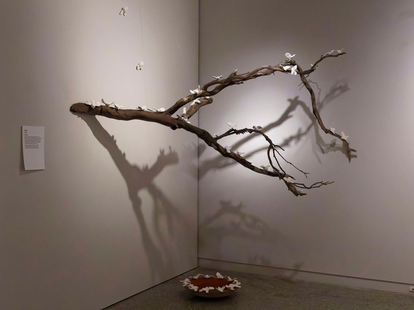 Visual Arts Exhibition 2025