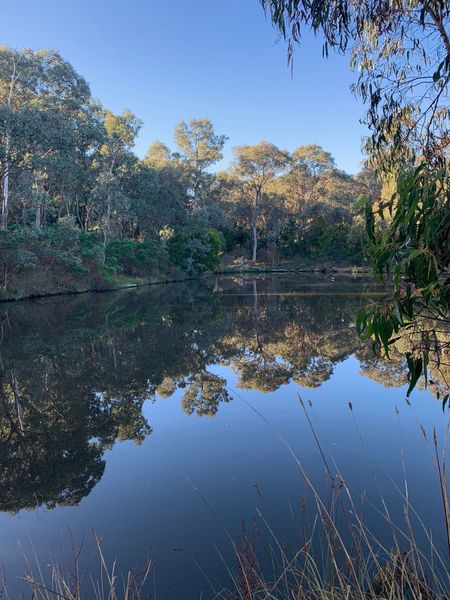 River Eltham College