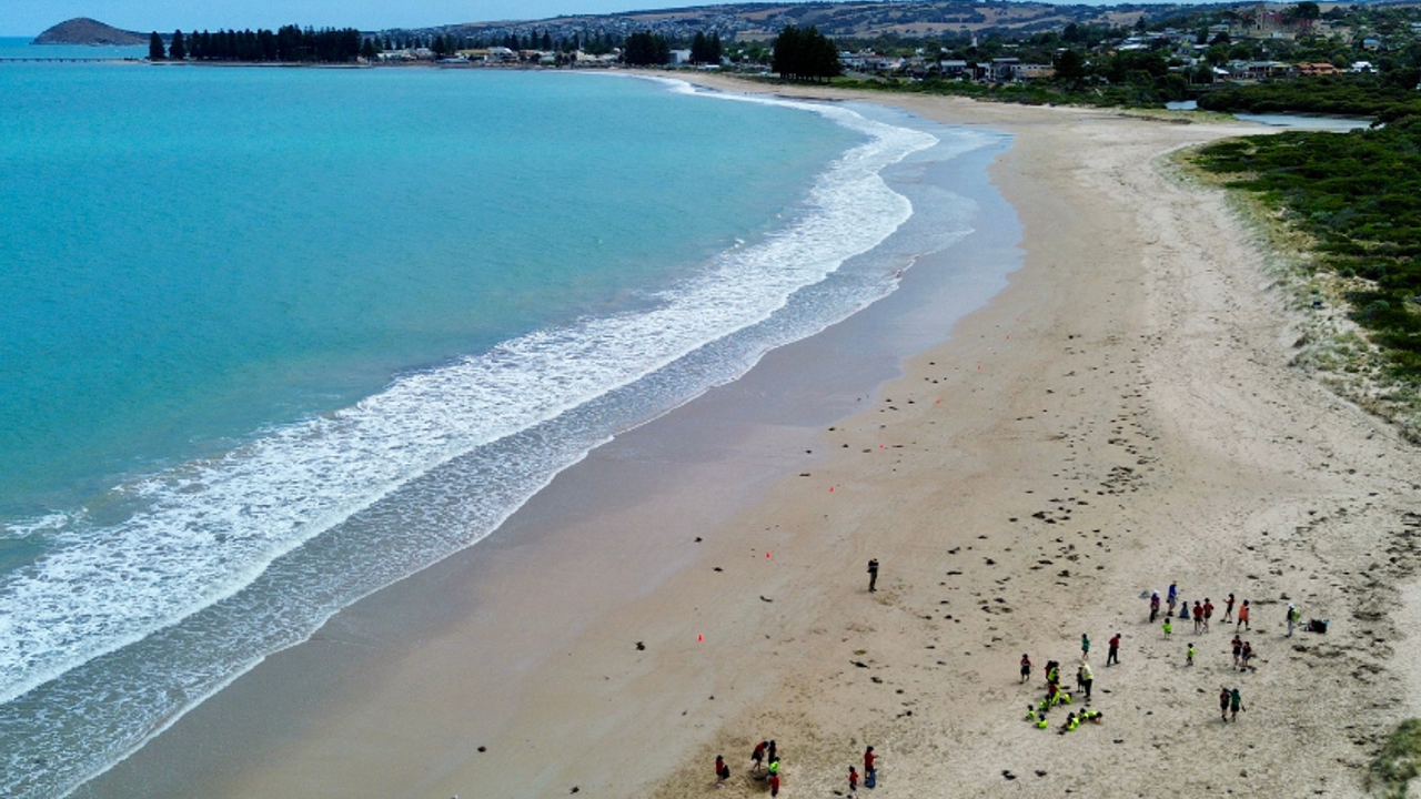 Junior School Beach Cleanup