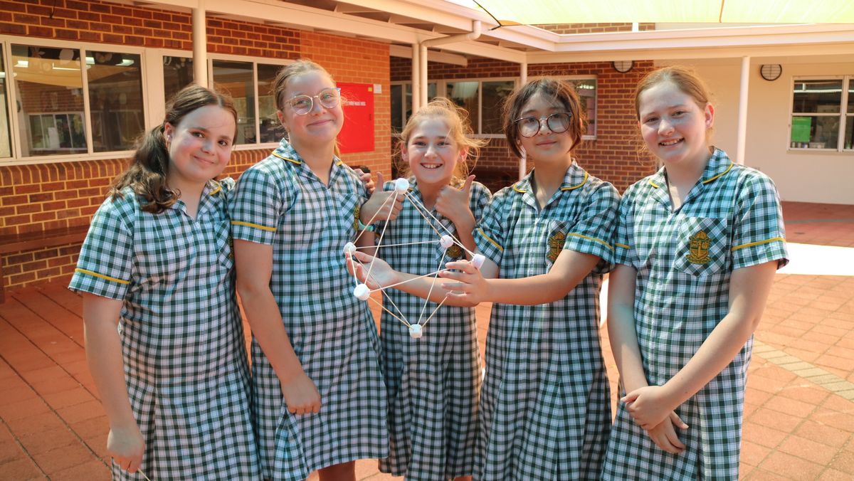 Years 3 to 6 Expo | Frederick Irwin Anglican School