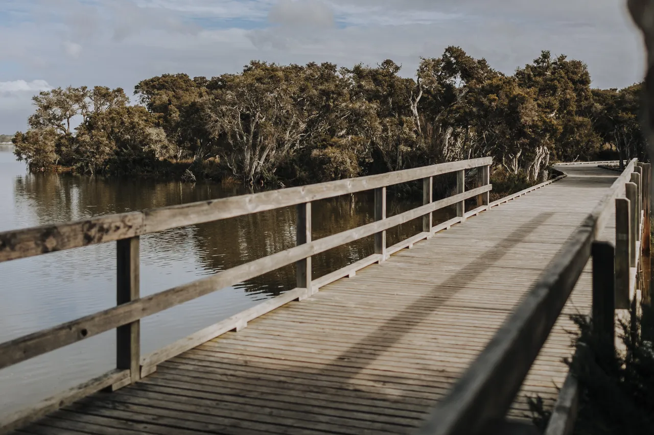 Walkway by the river