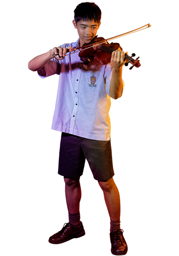 Stuart Violin