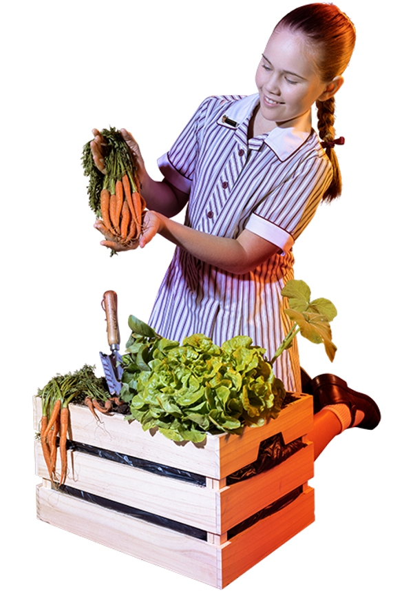 Claire veggies