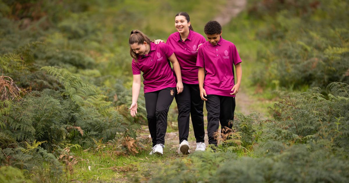 Why creating family rituals is important Haileybury Pangea