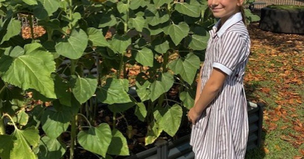 Nurturing independent leaders: Year 5 at Haileybury Rendall ...