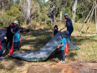 1st day of Bush kindy 4297