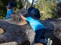 1st day of Bush kindy 4306