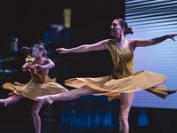 54937333443 11a6610172