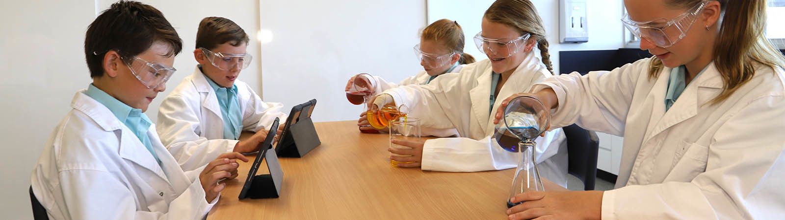 Year 7 Science