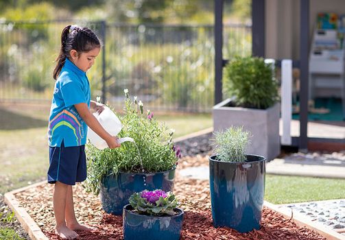 Watering Flowers