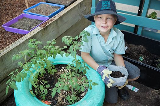 Primary Boy Gardening