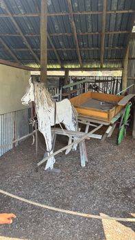IMG 2703
