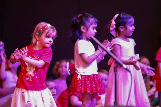 IMG 3556
