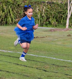 IMG 4587