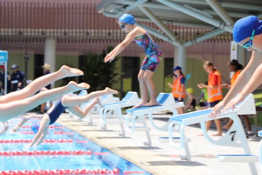 Lv Yr4 6 Swimming Carnival 2023 65