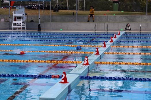 Lv Yr4 6 Swimming Carnival 2023 83