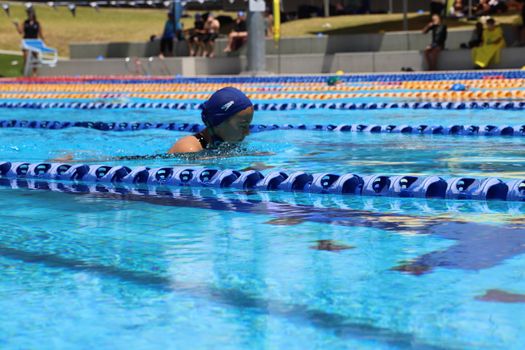 Lv Yr4 6 Swimming Carnival 2023 225