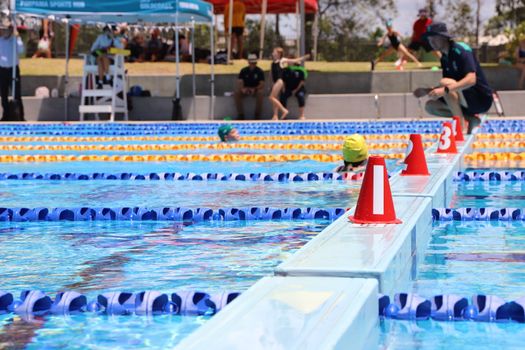 Lv Yr4 6 Swimming Carnival 2023 226