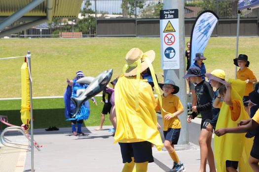 Lv Yr4 6 Swimming Carnival 2023 247