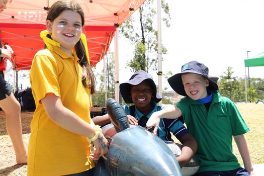 Lv Yr4 6 Swimming Carnival 2023 308