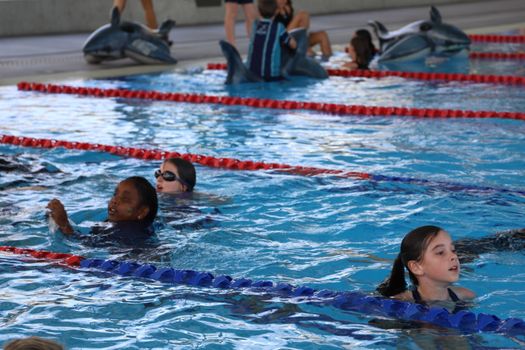 Lv Yr4 6 Swimming Carnival 2023 361