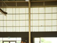 Netball Tally Camp 15 Harry Free