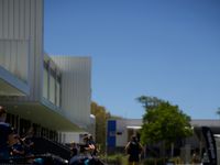 Netball Tally Camp 9 Harry Free