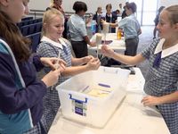 Year 5 Science 2