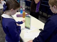 Year 5 Science 4