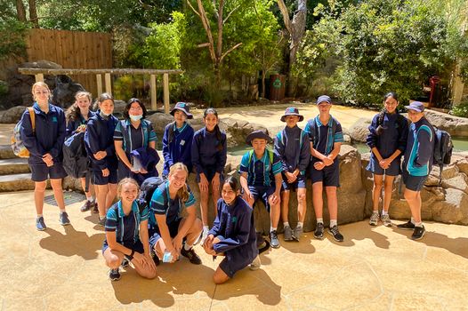 Yr9  Cws Tourism 2