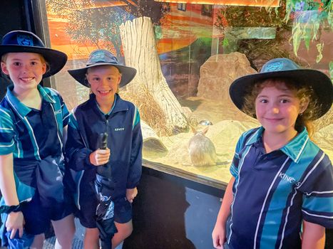 Year 3 Excursion Term 4 2021 11